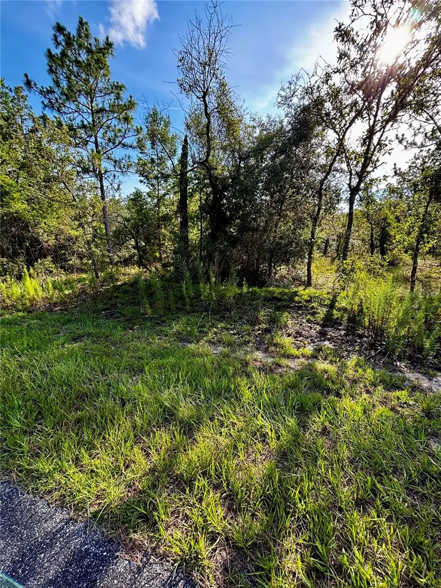 Lot 24 SE 136 Terrace, Dunnellon, FL 34431 - Image #2