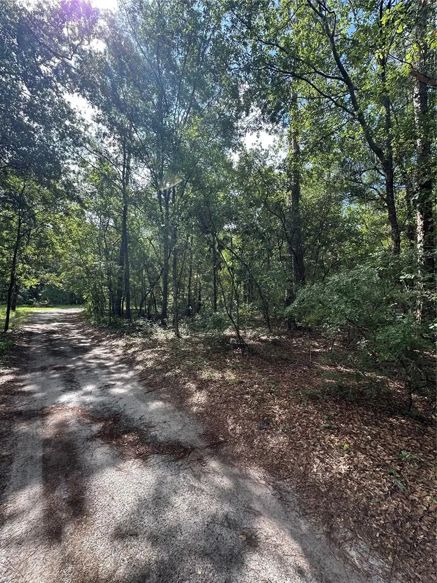 TBD NE 225th Place, Fort McCoy Anthony, FL 32134 - Image #2