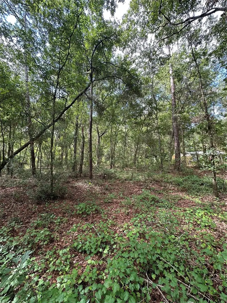 TBD NE 225th Place, Fort McCoy Anthony, FL 32134 - Image #3