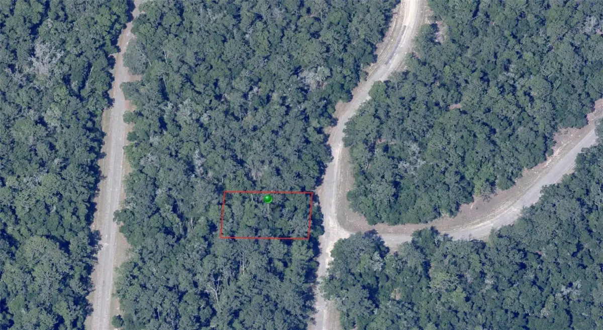 870 E Panama Drive, Citrus Springs, FL 34434 - Image #1