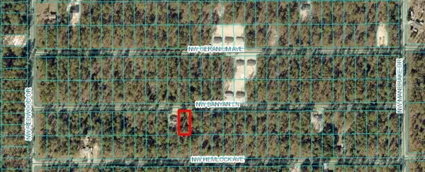 TBD NW Banyan Ln, Lot 14, DUNNELLON, FL 34431