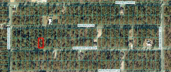 TBD NW Water Oak, Lot 60, DUNNELLON, FL 34431