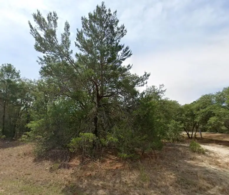 1426 W Delores Dr, Citrus Springs, FL 34434 - Image #2