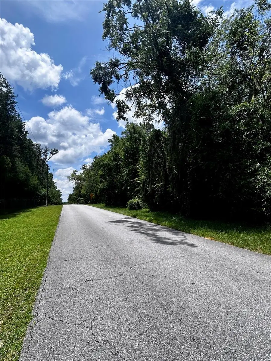 2406 N Pine Cone Avenue, Lecanto, FL 34461 - Image #3