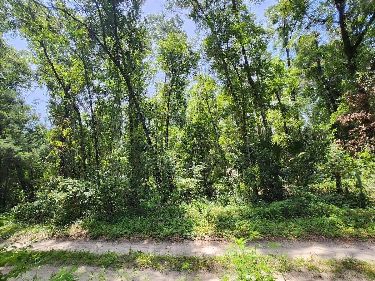 3200 NE 167 Street, Citra, FL 32113 - Image #1