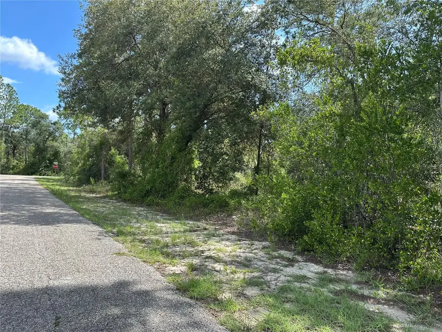 Se 133rd Ave, Dunnellon, FL 34431 - Image #3