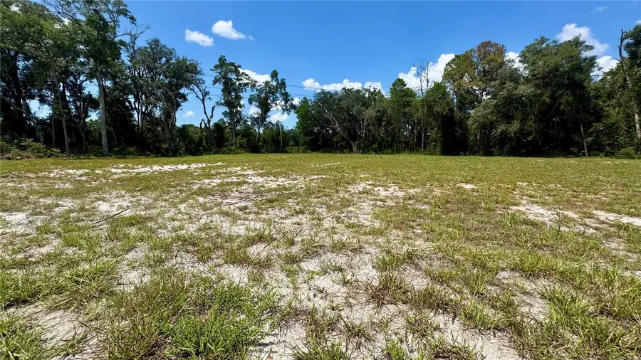4619 E Withlacoochee Trail, Dunnellon, FL 34434 - Image #2