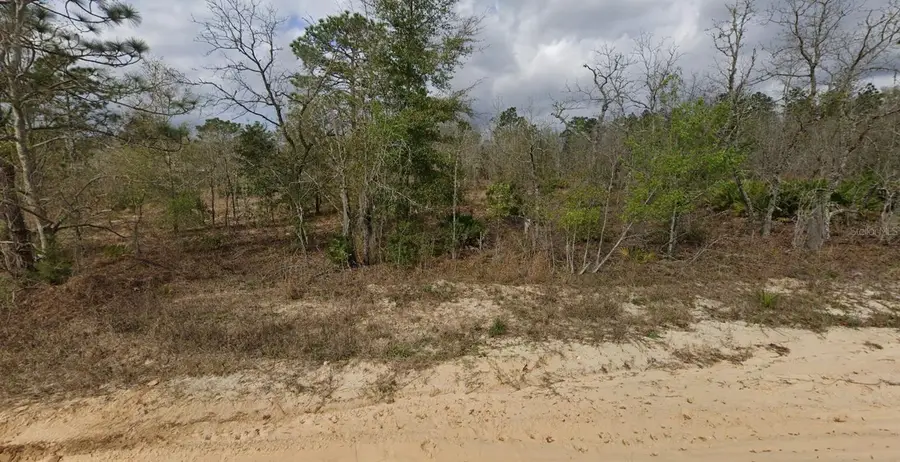 125 Akron Street, Interlachen, FL 32148 - #2