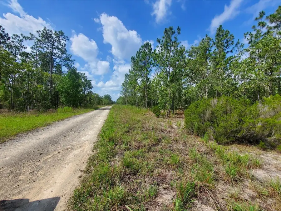 1270 NE 151st Avenue, Williston, FL 32696 - Image #3