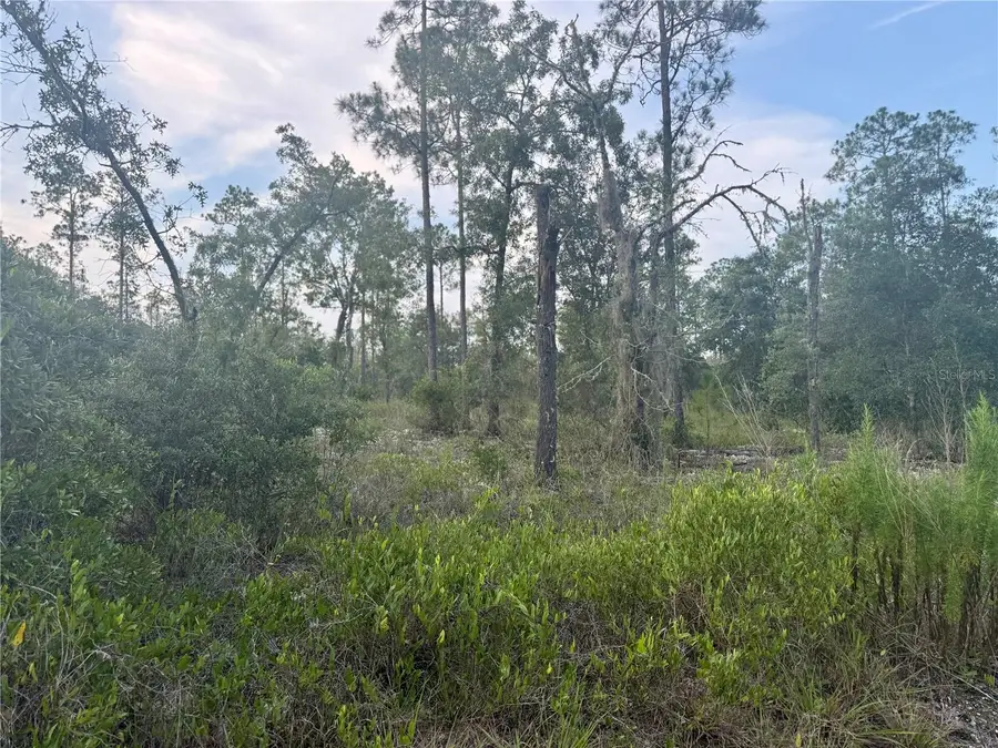 00 SW Barnacle Drive, Dunnellon, FL 34431 - Image #3
