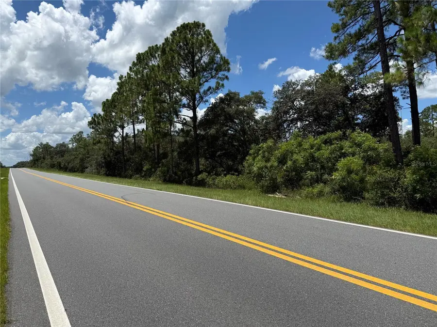 Fisher Rd, Ocklawaha, FL 32179 - Image #3