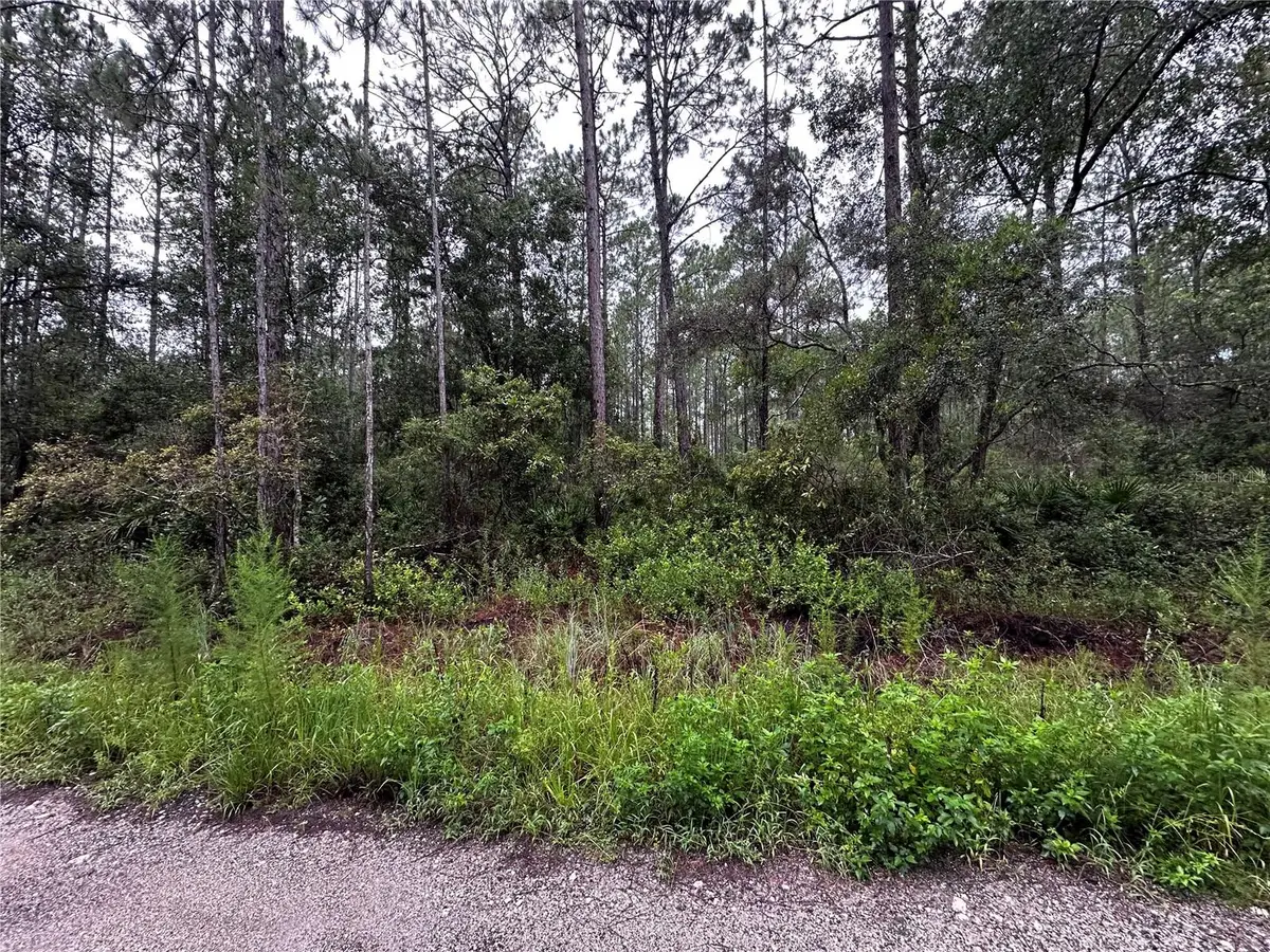Ne 66th Ave, Citra, FL 32113 - Image #1