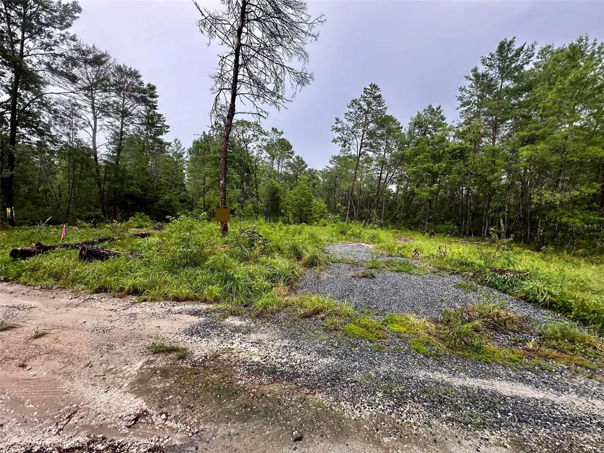 Ne 112th Ct, Fort McCoy Anthony, FL 32134 - Image #1
