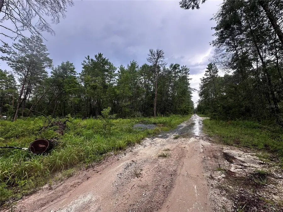 Ne 112th Ct, Fort McCoy Anthony, FL 32134 - Image #3