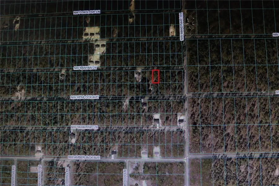 0 NW Banyon Lane, Dunnellon, FL 34431 - Image #2