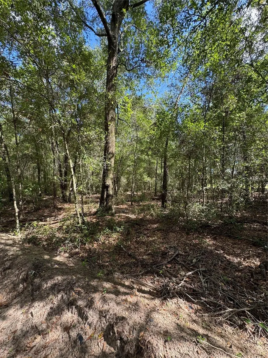 0 NW 14 Street, Ocala, FL 34482 - #1