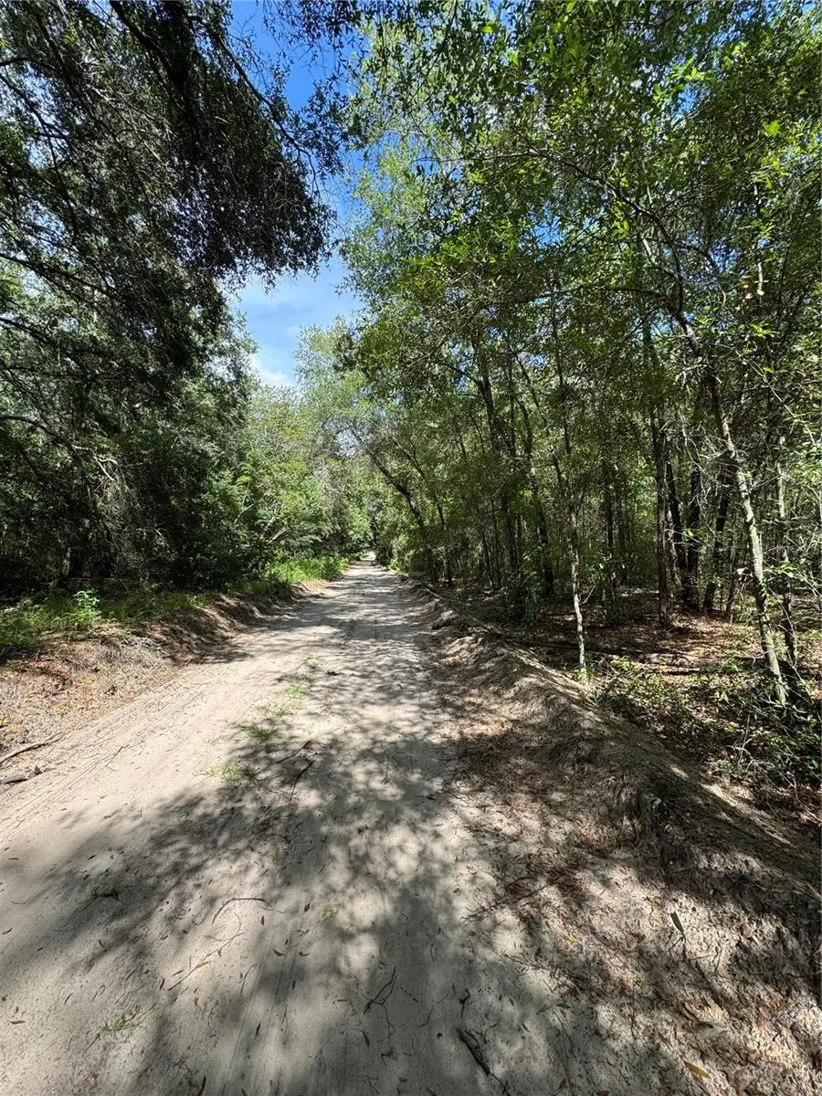 0 NW 14 Street, Ocala, FL 34482 - #3