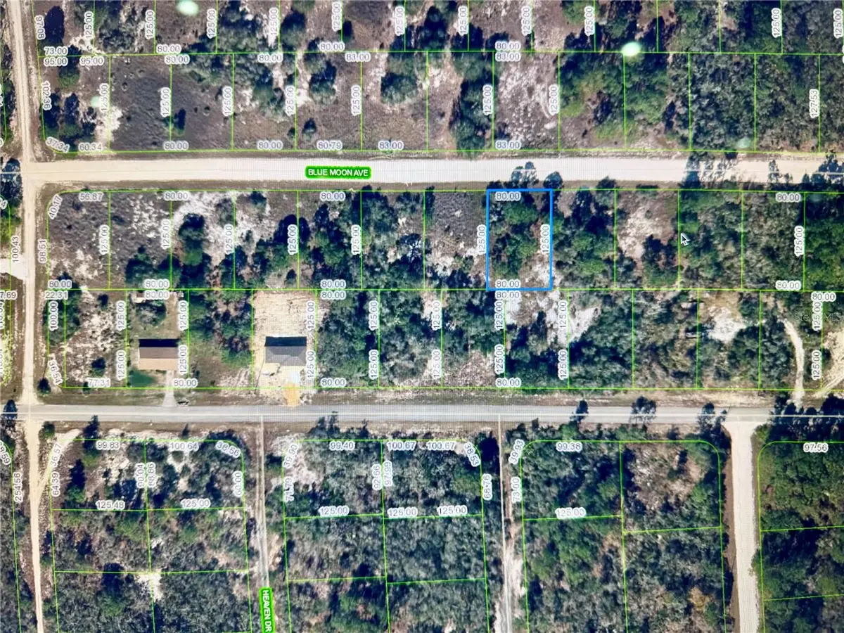 329 Blue Moon Avenue, Lake Placid, FL 33852 - Image #1