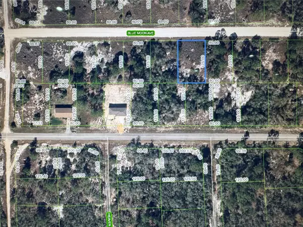 325 Blue Moon Avenue, LAKE PLACID, FL 33852