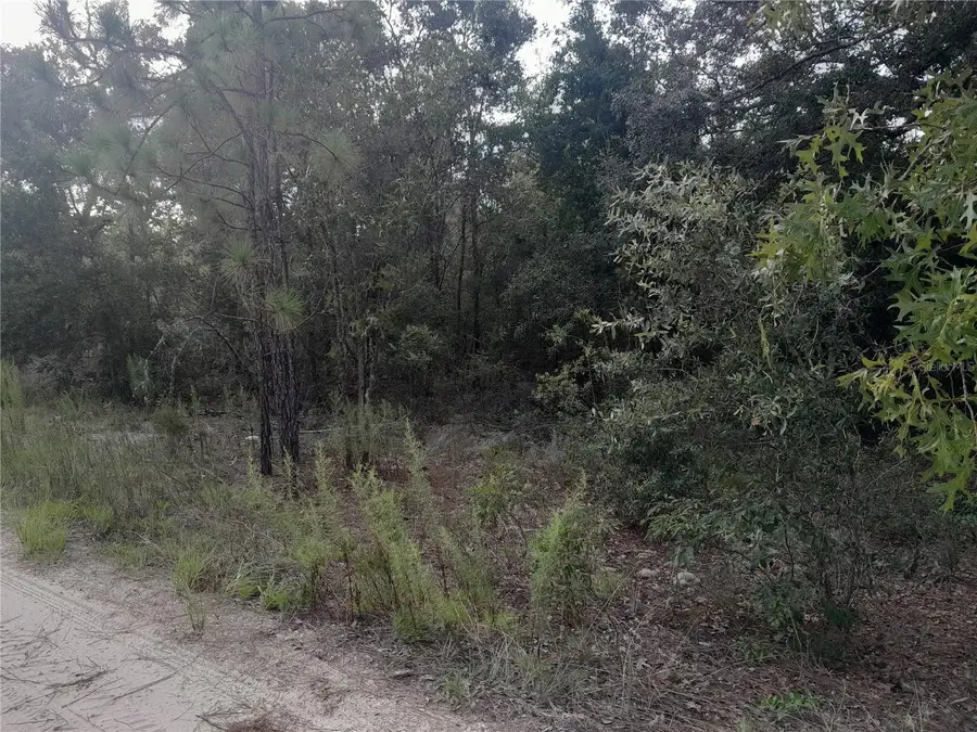 tbd NE 87th Place, Bronson, FL 32621 - Image #2