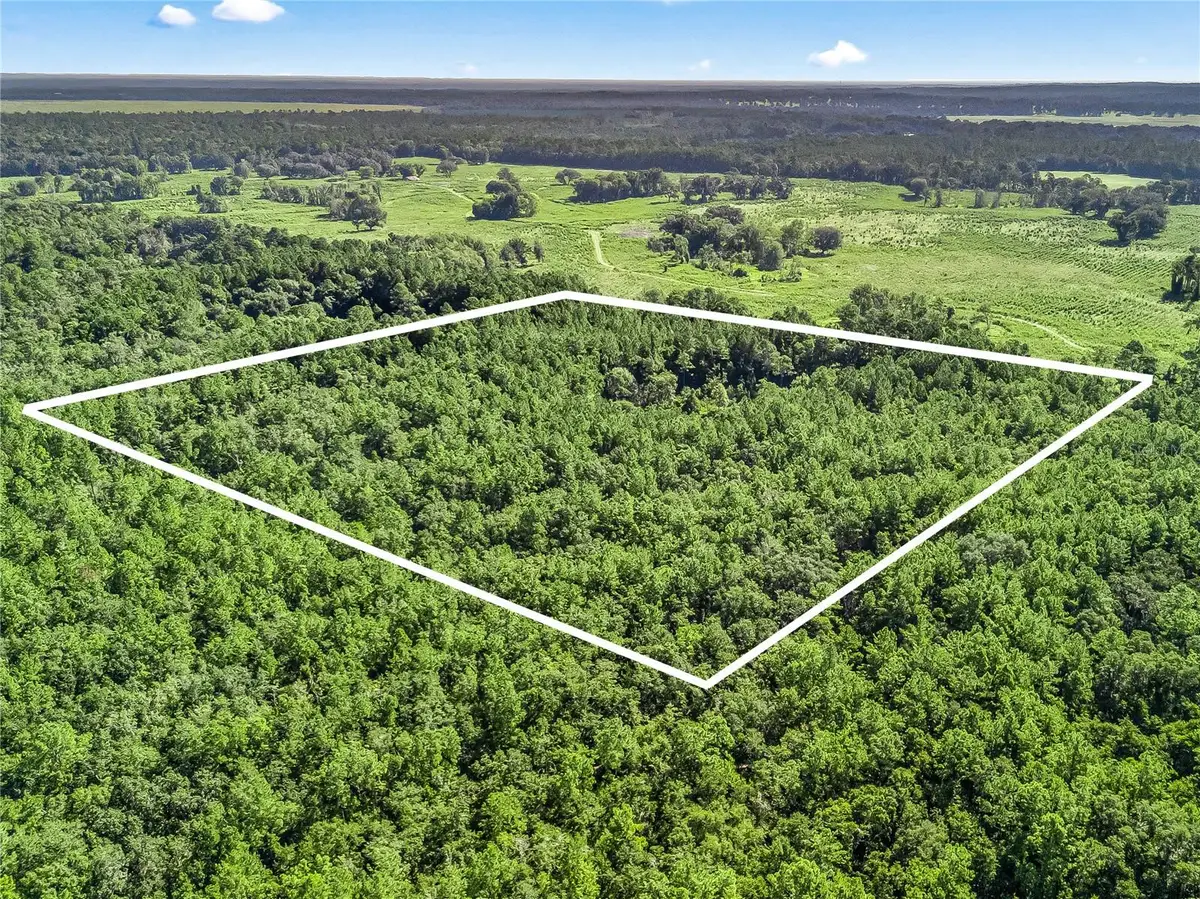 NW 150th Ave Road, Micanopy, FL 32667 - Image #1