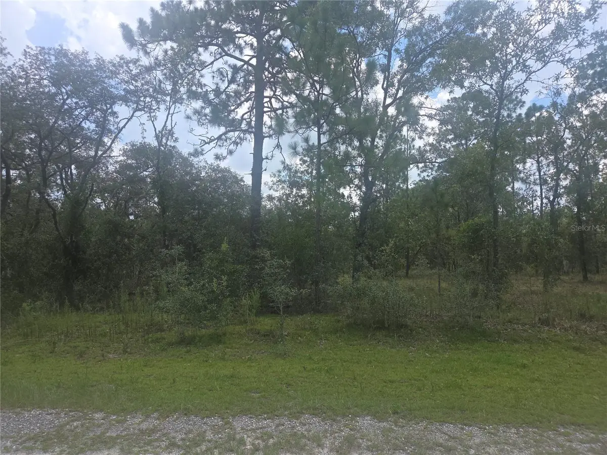 Lot 3 SE 129 Court, Dunnellon, FL 34431 - Image #1