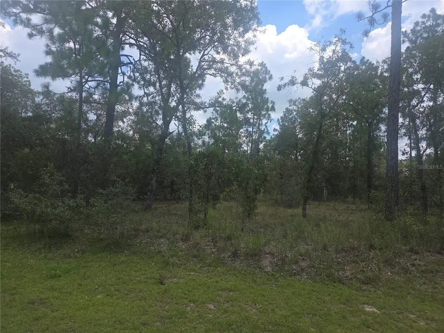 Lot 3 SE 129 Court, Dunnellon, FL 34431 - Image #2