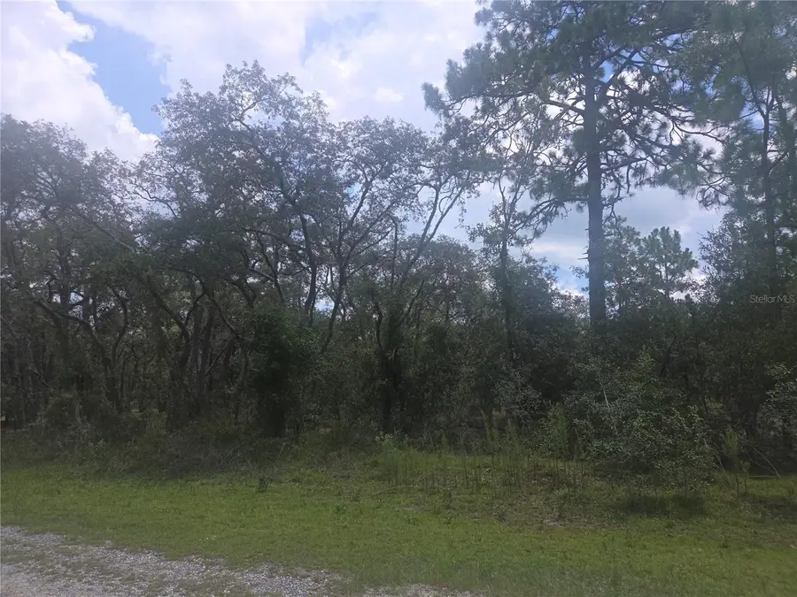 Lot 3 SE 129 Court, Dunnellon, FL 34431 - Image #3