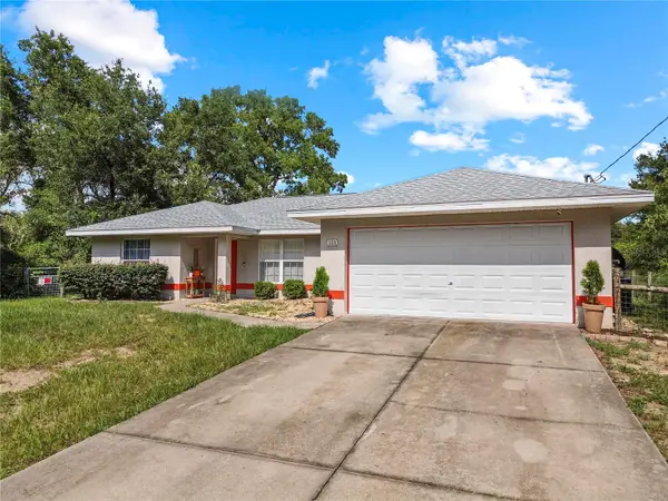 113 Guava Terrace, OCKLAWAHA, FL 32179