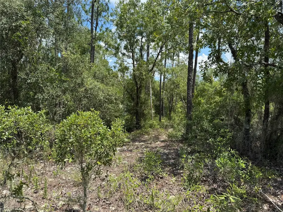 00 SW Rainbow Lakes Boulevard, Dunnellon, FL 34431 - Image #3
