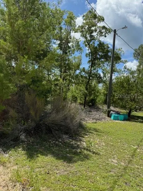 117 S Dakota Street, HAWTHORNE, FL 32640