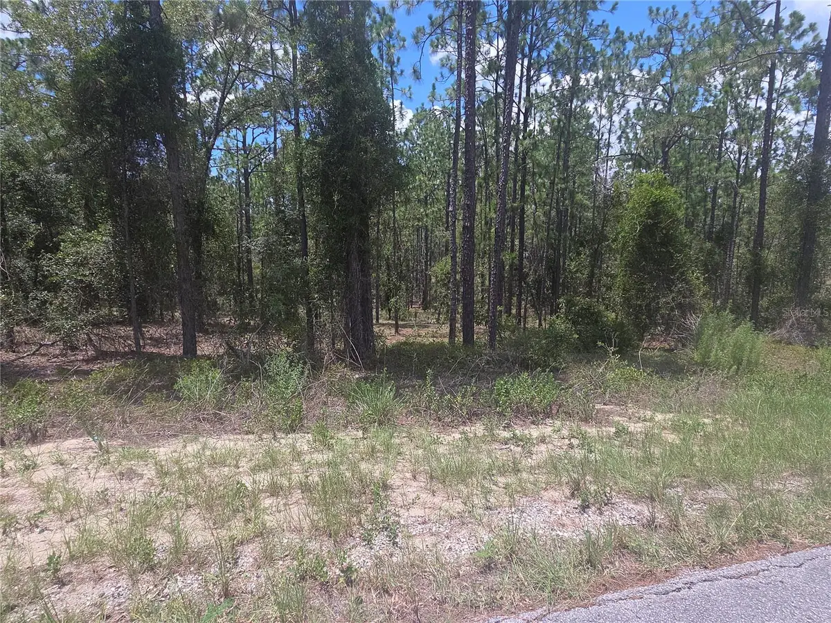 Lot 34 SE 128 Avenue, Dunnellon, FL 34431 - Image #1
