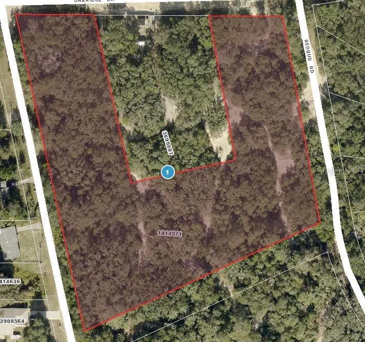 TBD Magnolia Street, Lady Lake, FL 32159 - Image #1