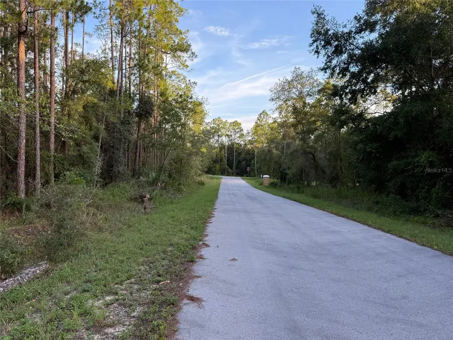 TBD SW South Water Court, Dunnellon, FL 34431 - Image #3