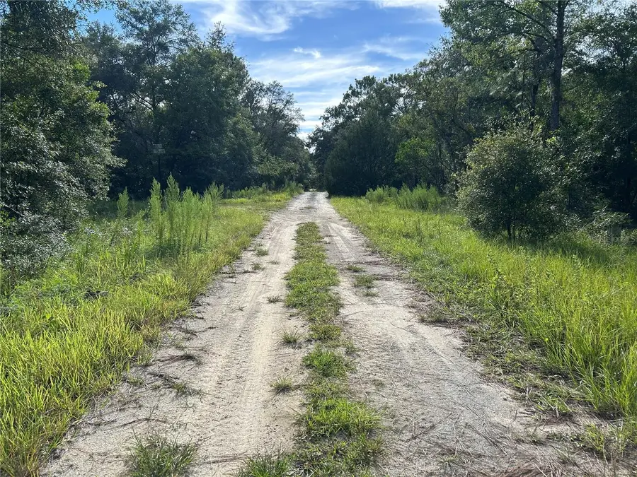 TBD NE 11th Place, Williston, FL 32696 - Image #2