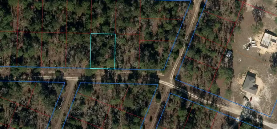 TBD NE 11th Place, Williston, FL 32696 - Image #3