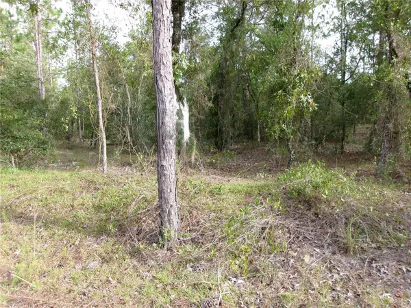 Lot 8 SW Nautilus Boulevard, DUNNELLON, FL 34431