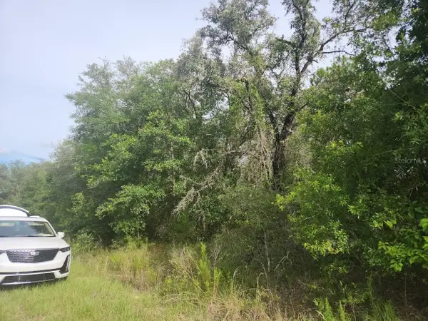 Lot 3 SW Nectarine Lane, DUNNELLON, FL 34431