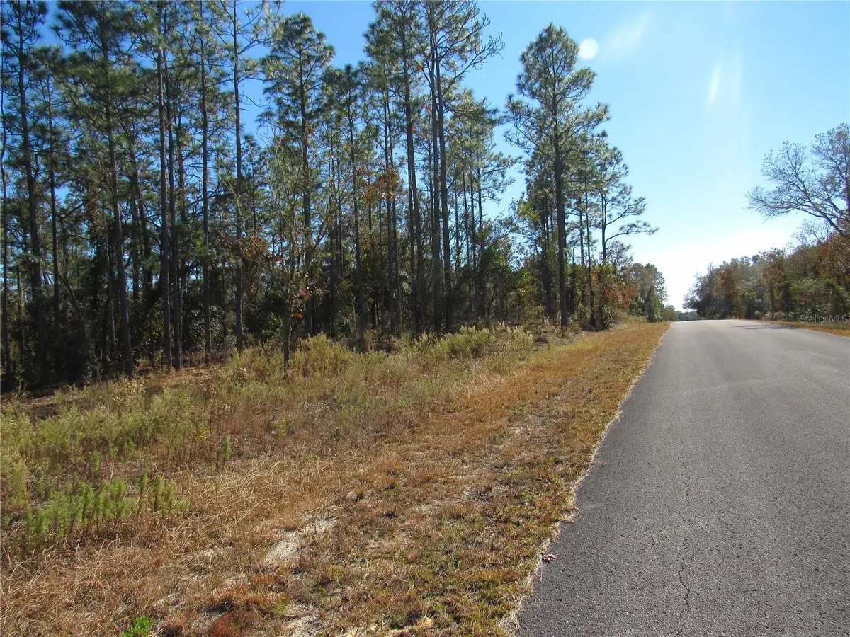 0000 SW Sands Pt Ave Lot 32, Dunnellon, FL 34431 - Image #1