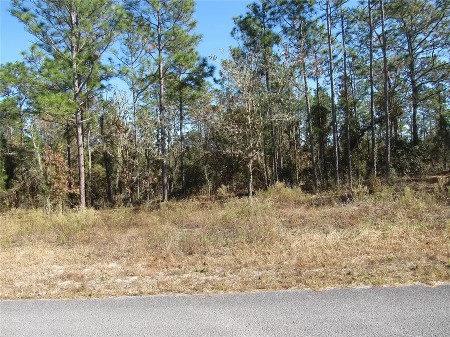 0000 SW Sands Pt Ave Lot 32, Dunnellon, FL 34431 - Image #2
