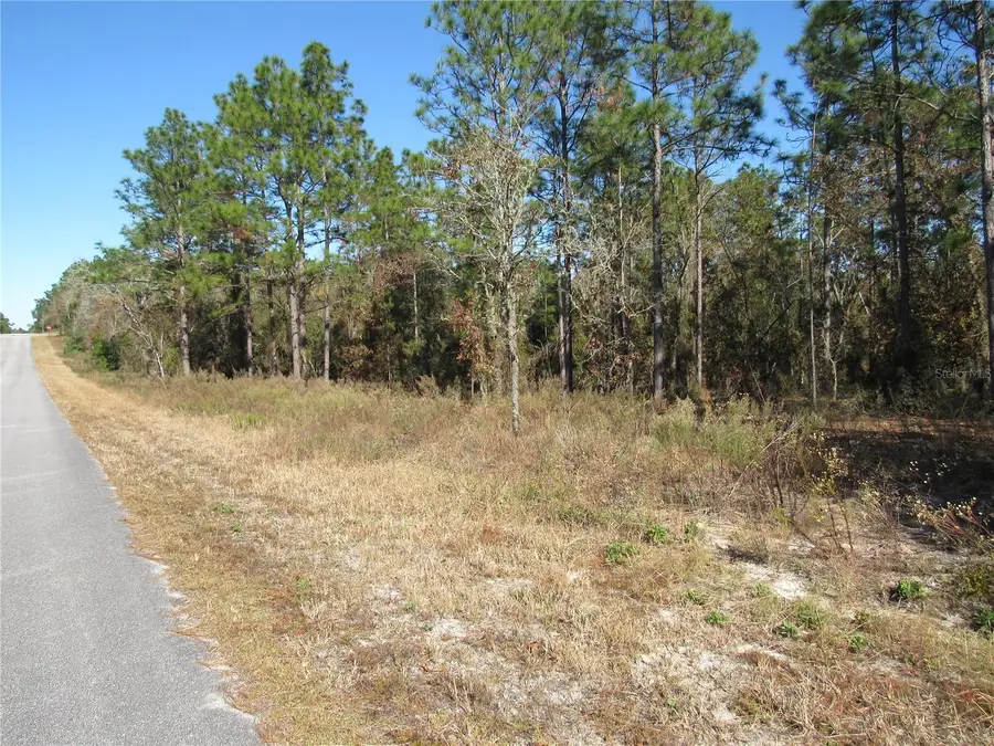0000 SW Sands Pt Ave Lot 32, Dunnellon, FL 34431 - Image #3