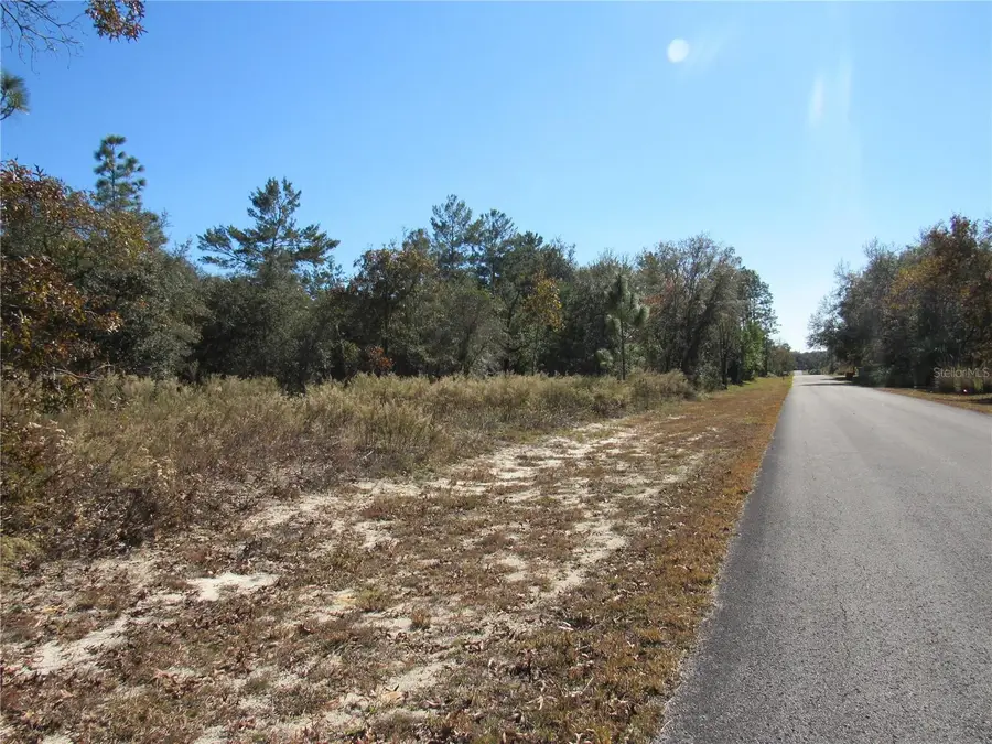 0000 SW Sands Point Ave Lot 38, Dunnellon, FL 34431 - Image #2