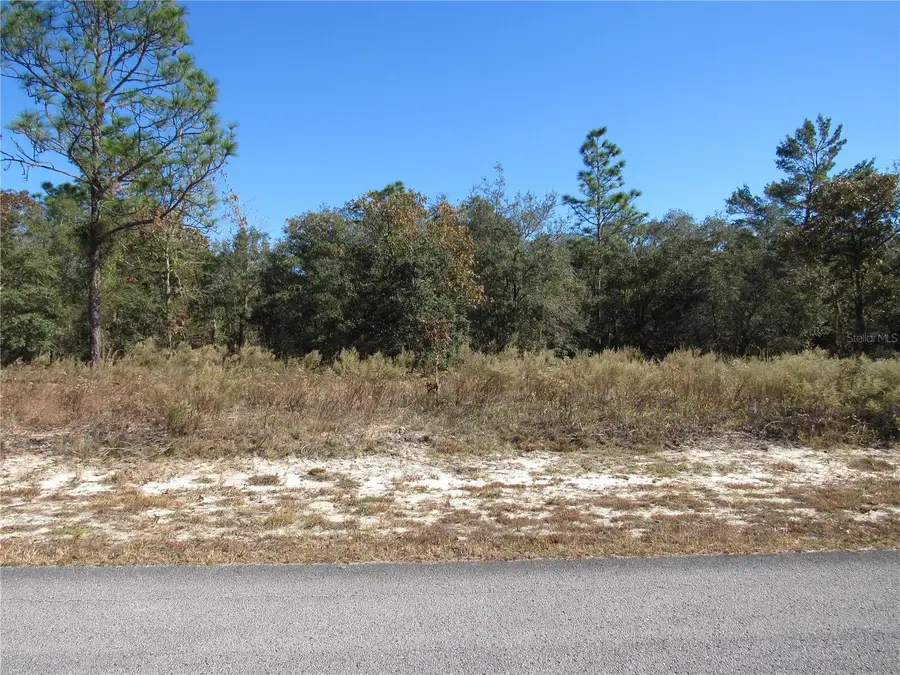 0000 SW Sands Point Ave Lot 38, Dunnellon, FL 34431 - Image #3