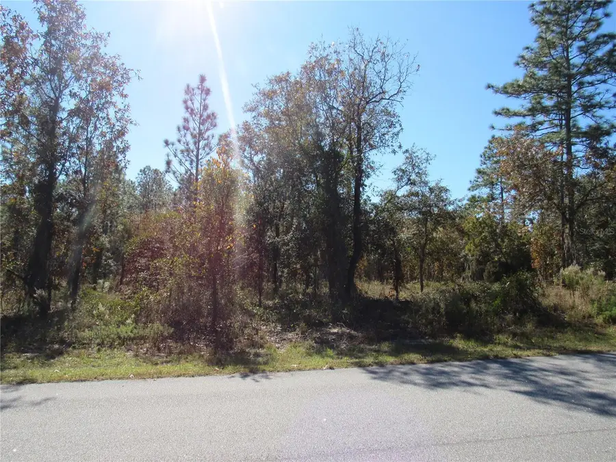 0000 SW Plaza Court Court, Dunnellon, FL 34431 - Image #3
