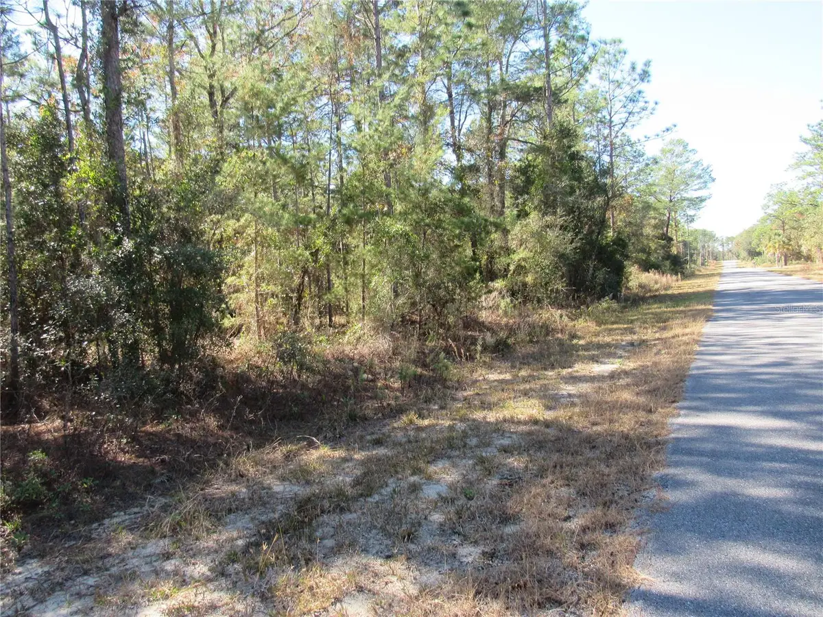 0000 SW Beaver Drive, Dunnellon, FL 34431 - Image #1