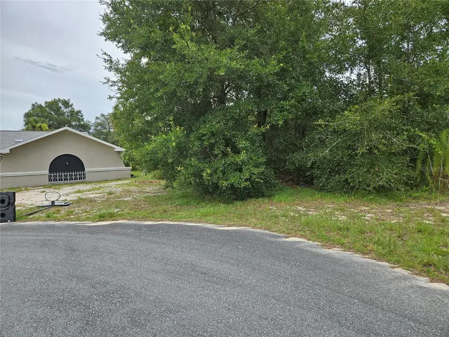 0 SW 46 Circle, Ocala, FL 34473 - Image #2
