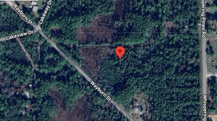 116 Wayburn Street, Georgetown, FL 32139 - Image #2