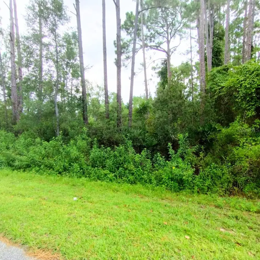 116 Wayburn Street, Georgetown, FL 32139 - Image #3