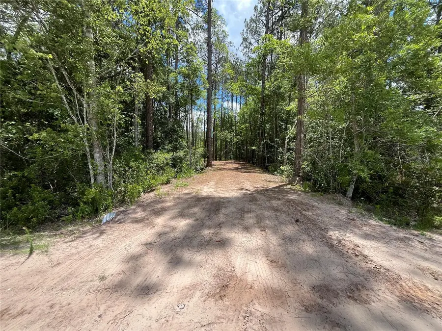 4050 Als Satch Road, Middleburg, FL 32068 - Image #2