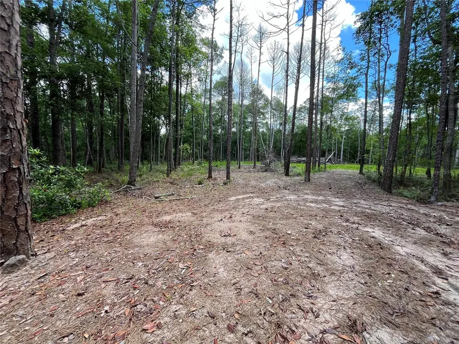 4050 Als Satch Road, Middleburg, FL 32068 - Image #3